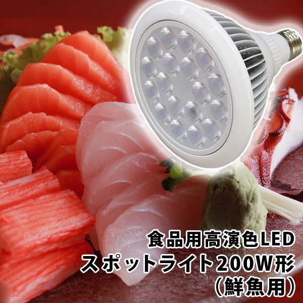 食品用高演色LEDスポットライト200W形（鮮魚用）